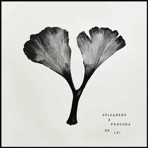 Capa do álbum Y
