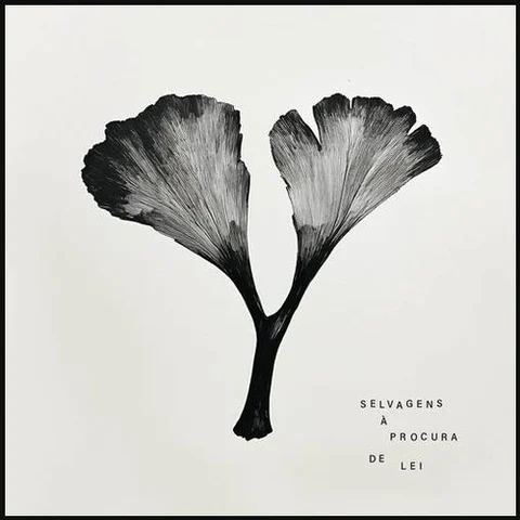 Capa do álbum Y